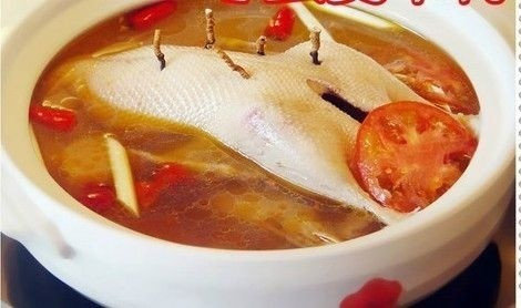17道冬虫夏草美味滋补做法，越吃越营养！ - 缘水禅心 - 
