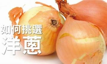洋葱的挑选方法图解