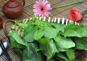 菠菜去除草酸的方法