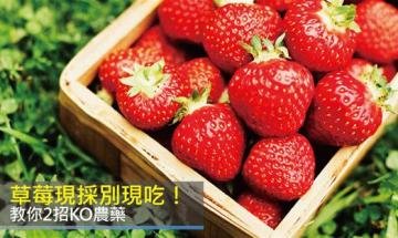 现采草莓有农药别现吃！2...