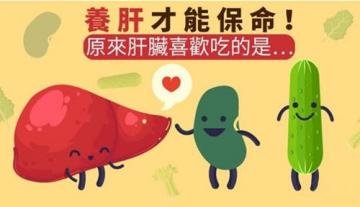 保护肝脏吃什么好？保护肝...