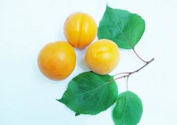 怀孕后能吃杏子吗？