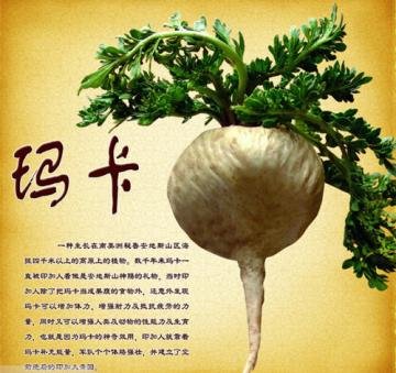 玛咖副作用有哪些？玛卡副...