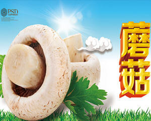 蘑菇的做法大全