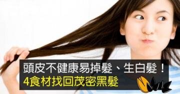 头皮不健康易掉发、生白发...