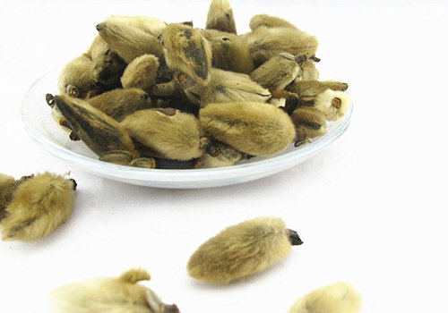 辛夷花浸剂或煎剂对动