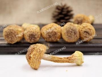 松茸怎么吃好？干松茸的三...