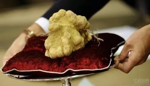 全球最昂贵美食排行榜前1...