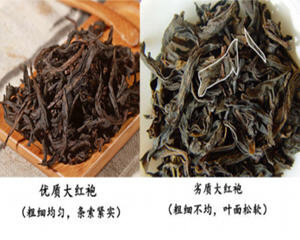 大红袍茶叶形状图片是什么...