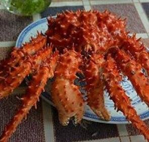 帝王蟹