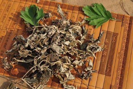 用艾叶泡脚能治风湿吗？
