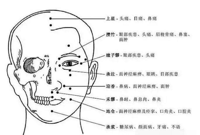人体穴位有哪些？对应穴位都有什么功效 ？3