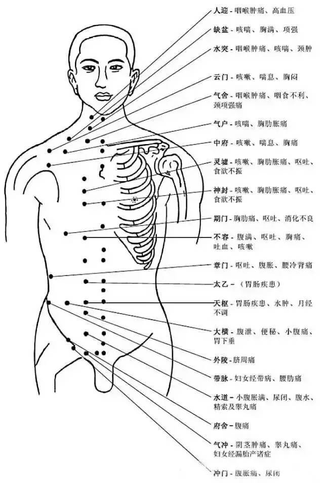 人体穴位有哪些？对应穴位都有什么功效 ？5