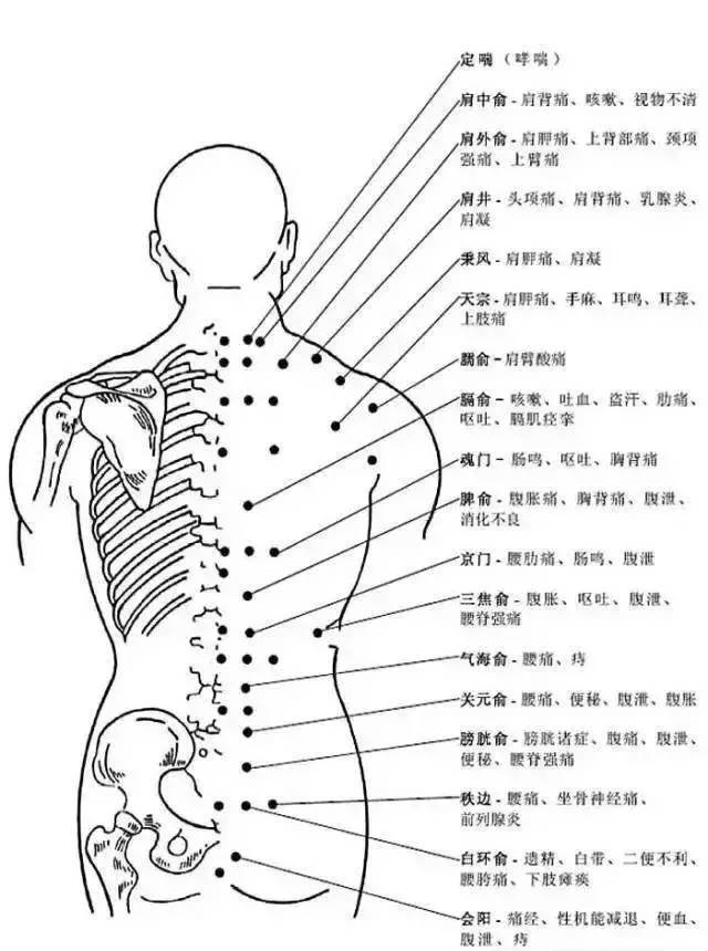 人体穴位有哪些？对应穴位都有什么功效 ？6