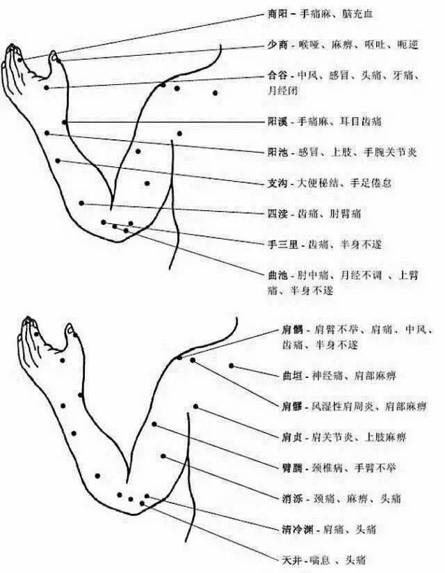 人体穴位有哪些？对应穴位都有什么功效 ？7