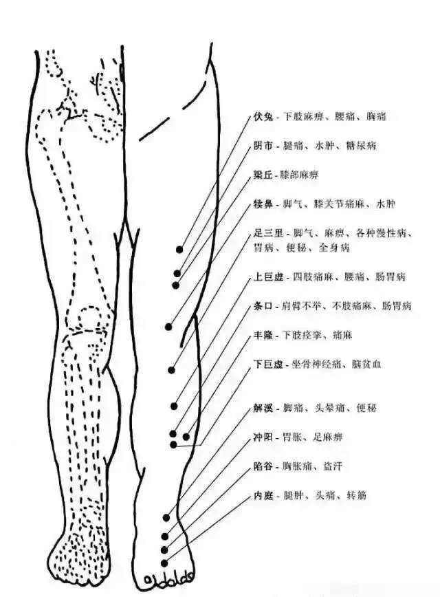 人体穴位有哪些？对应穴位都有什么功效 ？9