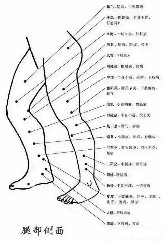 人体穴位有哪些？对应穴位都有什么功效 ？10