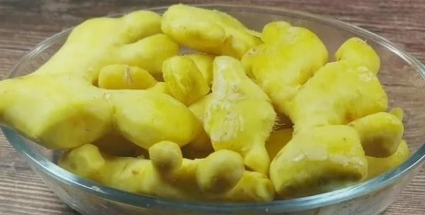 猪脚姜的做法和功效与作用4