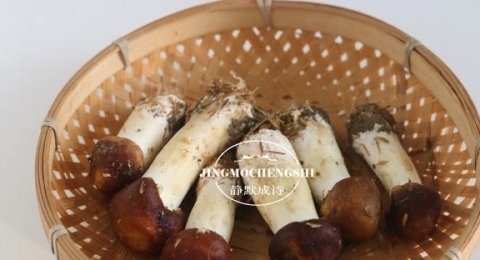 营养鲜美的早餐【赤松茸炒蛋】4