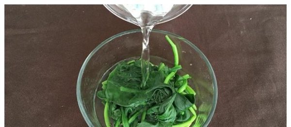宁愿不吃肉，别错过“波斯草”【菠菜】，保护孩子视力又补血3