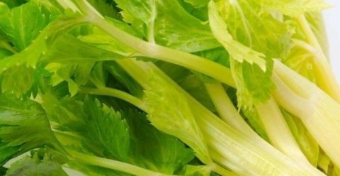 补气防衰可以吃【芹菜炒鸡蛋】2