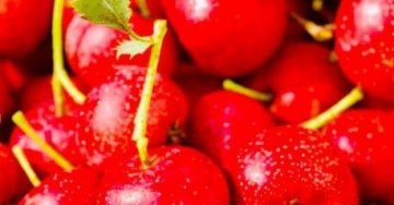 女性经期可以多食【山楂】，排出子宫污血疏通经气2