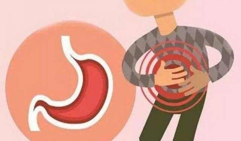 推荐7种养胃中草药，经常...