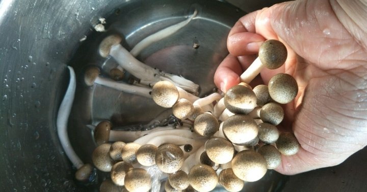 天冷了多给家人喝【番茄蟹味菇豆腐汤】暖胃又养胃3