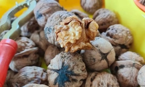 冬天补气可以多吃【醋泡核桃仁】润肠通便,降胆固醇1