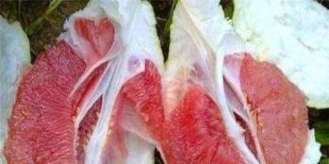 推荐3种淡斑抗衰老的食物-补血养颜吃什么最好3