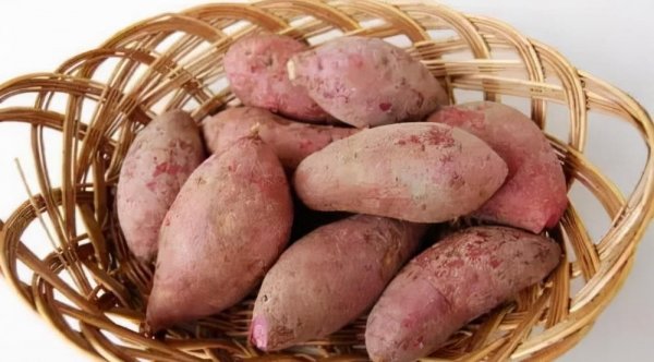 多吃以下3种食物，能补血养颜，提高免疫力1