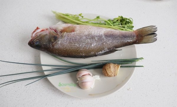清蒸鲈鱼怎么做-清蒸鲈鱼的做法4