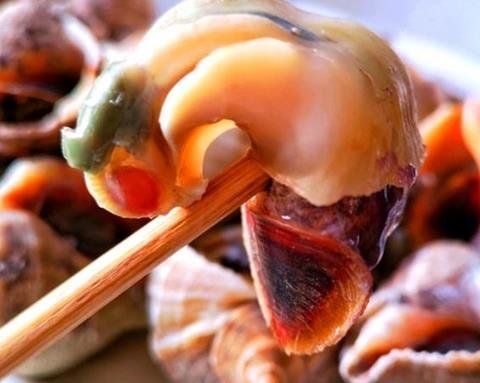 海螺肉的功效与作用有哪些...