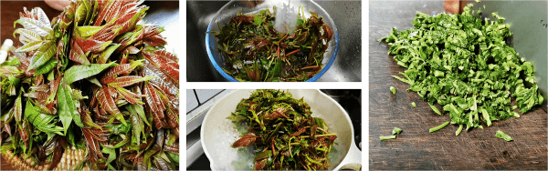 香椿怎么做比较好吃-香椿的做法大全18