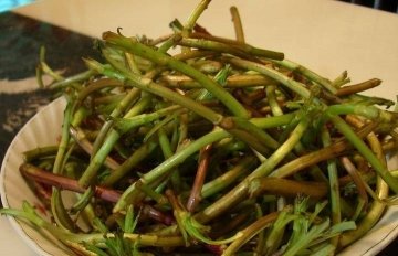 藜蒿是发物吗-藜蒿的功效与作用做法2