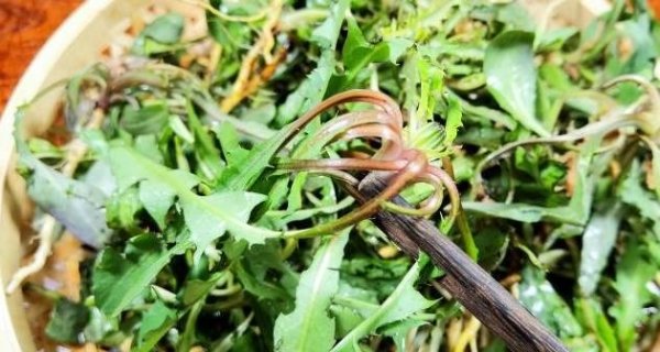苦菜的营养价值和食用方法...