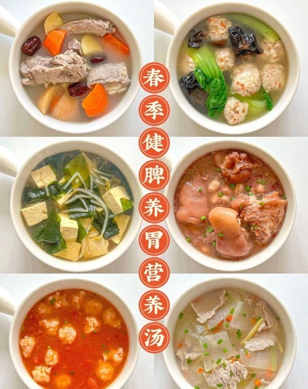 春季健脾养胃汤有哪些-春季健脾养胃汤做法大全1