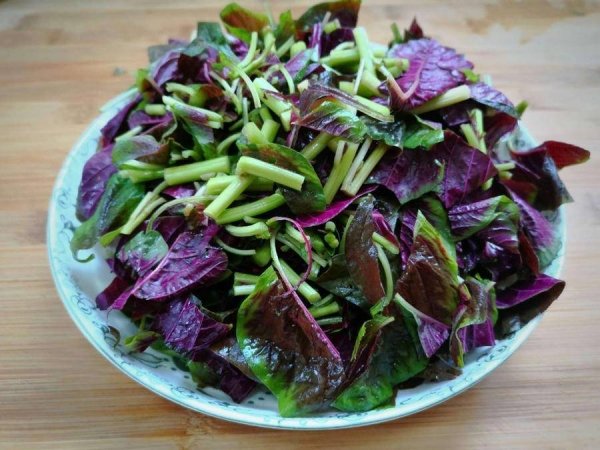 红苋菜与白苋菜的区别-红...