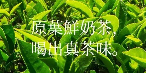 霸王茶姬的品牌定位是什么2