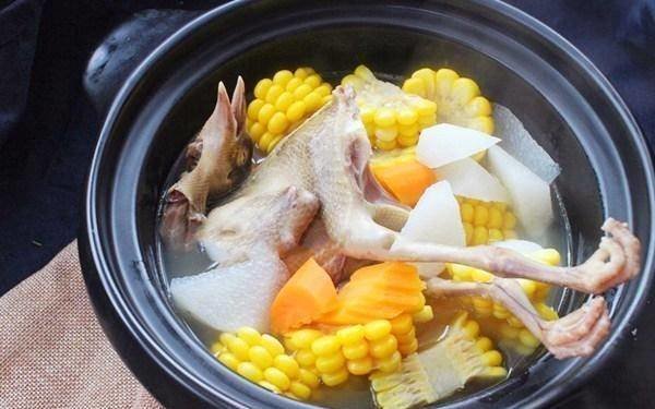 鸽子汤需要先焯水吗-鸽子...