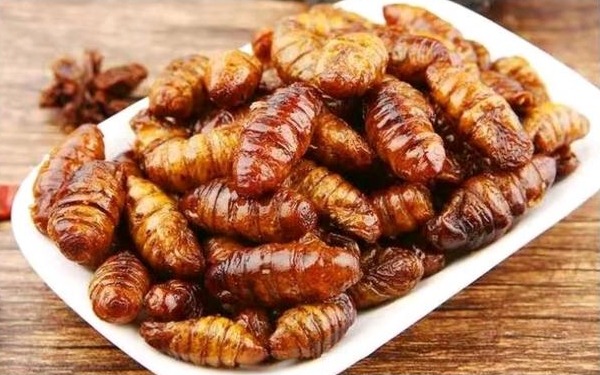 蚕蛹怎么做好吃
