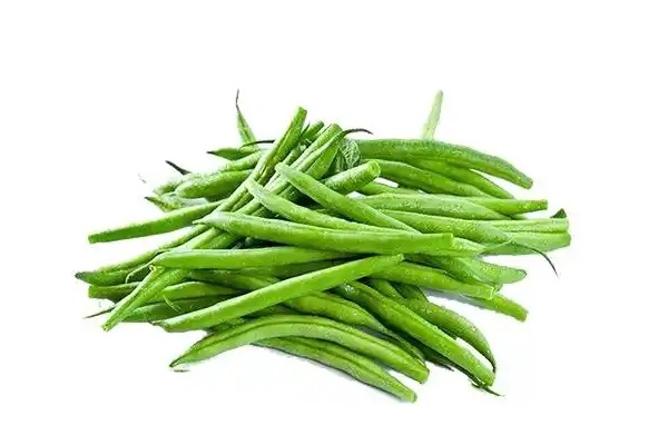 四季豆