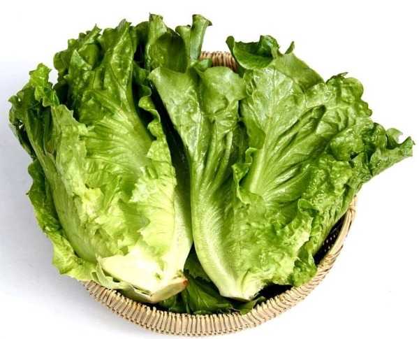 生菜怎么做好吃