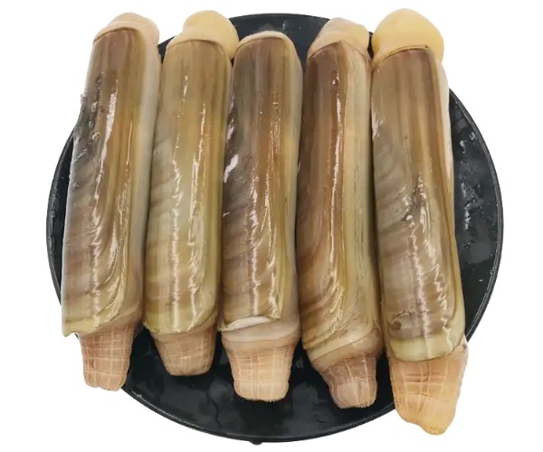 蛏子