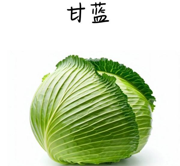 甘蓝怎么做好吃