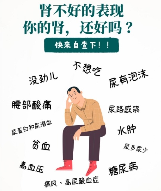 肾脏不好吃什么