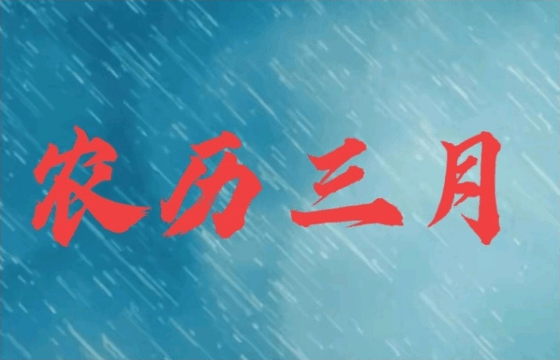 农历3月中部地区吃什么好