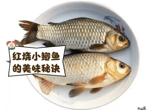 小鲫鱼怎么做好吃