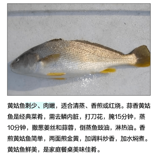 黄姑鱼怎么做好吃