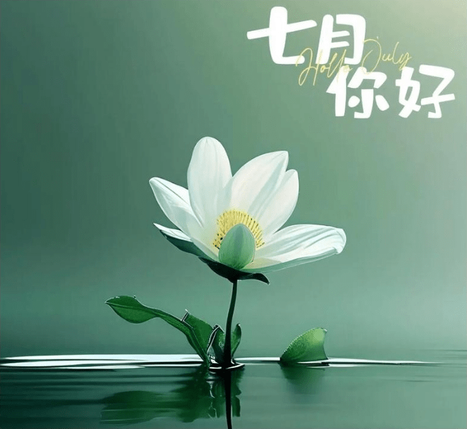 阳历7月中部地区吃什么好
